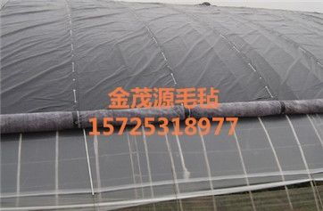 山東金茂源 大棚防寒保溫棉被與道路建設的雙重守護者