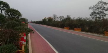 以道路建設(shè)為引擎，驅(qū)動基礎(chǔ)設(shè)施、營商環(huán)境與環(huán)保協(xié)同提升的工程管理實(shí)踐